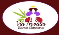 Vianovalis logo