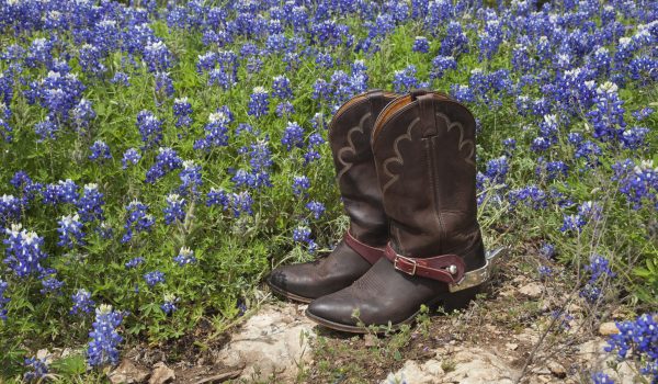 bootstock