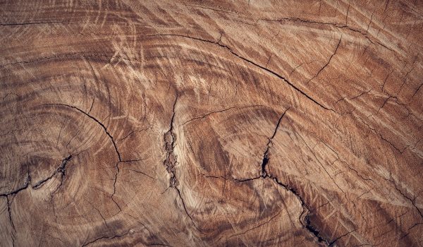 wandpanelen hout