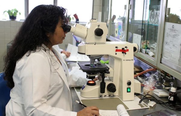 DNA onderzoek in een labratorium